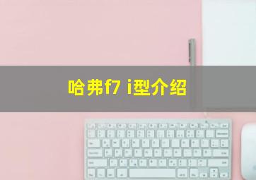 哈弗f7 i型介绍